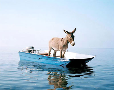 That ship has sailed