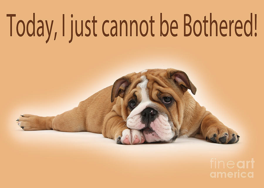 Can’t be bothered
