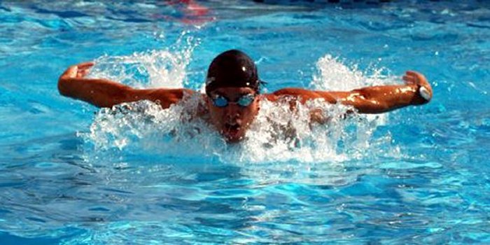 Just keep swimming….