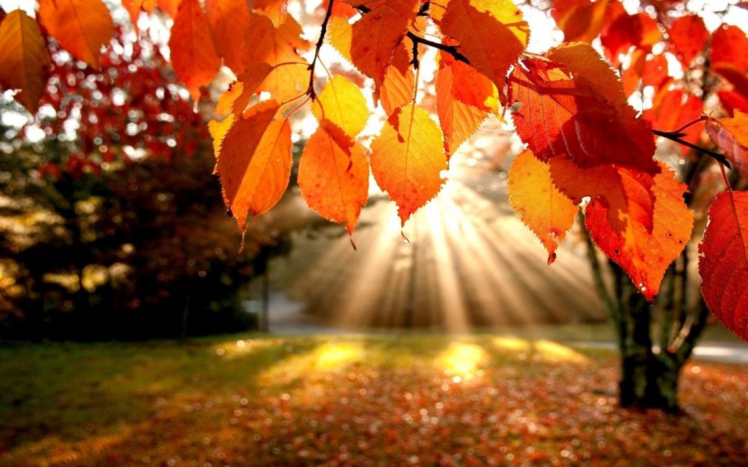 Autumn Time